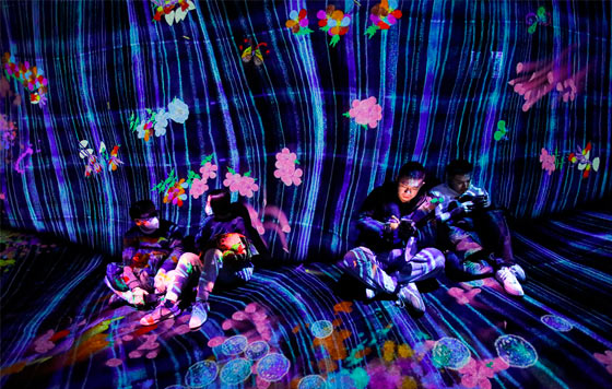 Фотохроника 27 декабря