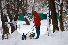 Москвичей предупредили о снегопаде до утра 4 января