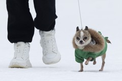 Москвичей ждет самая холодная пятидневка с начала века