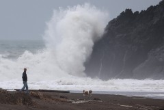 В Калифорнии из-за ливней и ветра без света остались более 560 тыс. домов и предприятий