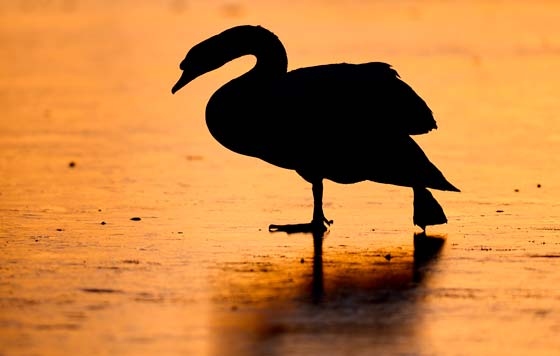 Фотохроника 20 января