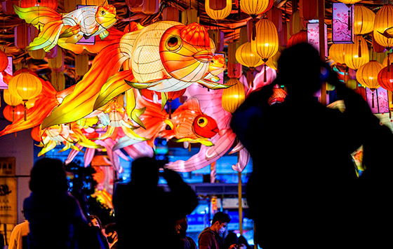 Фотохроника 19 января