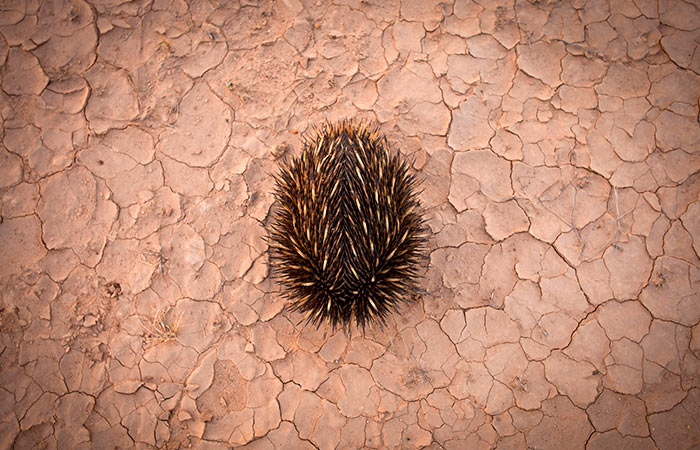 Что произошло в мире науки. Вечерний дайджест