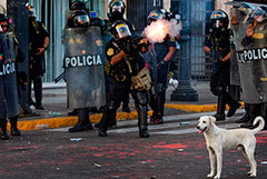 Полиция в Перу применила слезоточивый газ для разгона протестующих против правительства