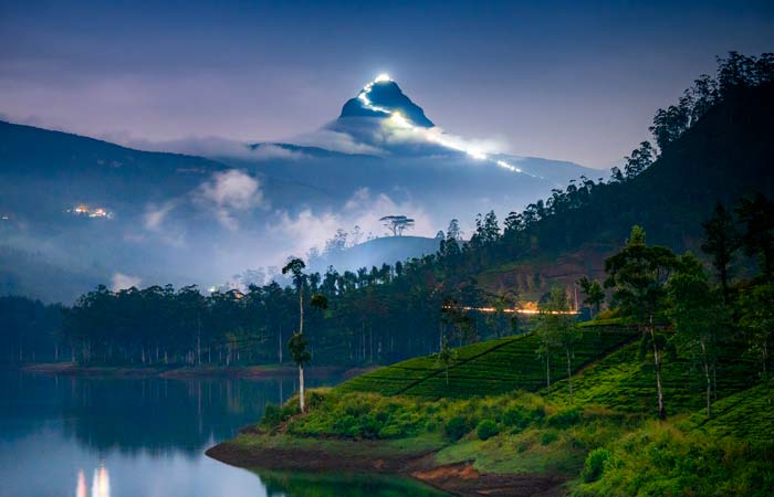 Россияне стали лидерами по турпотоку на Шри-Ланку в январе