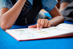 Премьер Литвы выступила за замену преподавания русского языка в школах на польский