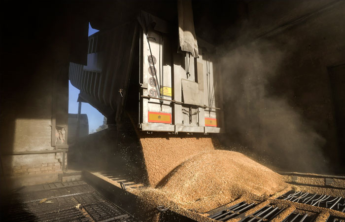 Экспортная пошлина на пшеницу из РФ с 8 февраля повысится на 3%