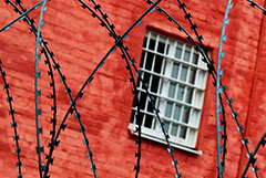 Президент РФ подписал закон о сборе геномной информации у подозреваемых и обвиняемых