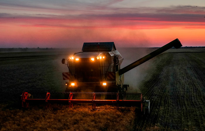 Эксперты прогнозируют снижение сбора зерна в России на 17% в 2023 году