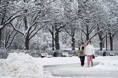 Высота снежного покрова в Москве достигла 33 см