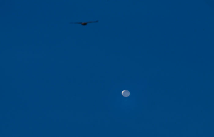 Столтенберг считает, что сбитые над США и Канадой аэростаты собирали разведданные