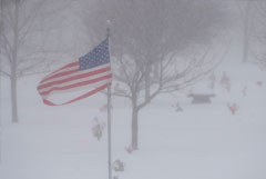 На западе и севере США из-за приближающейся снежной бури закрыли школы и офисы