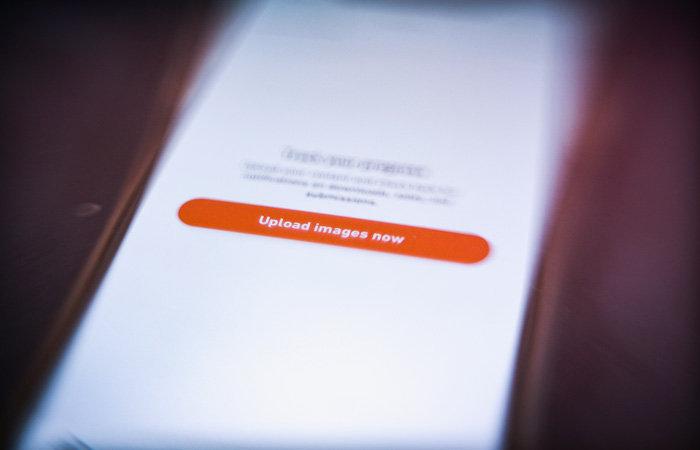 Роскомнадзор заблокировал фотобанк Shutterstock из-за "деструктивных материалов"