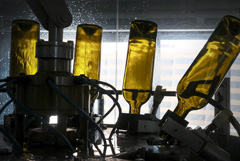 РФ вводит федеральные специальные марки для вина с эмблемой "Вино России"