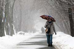 В Москве в понедельник ожидаются слабый снег и ветер