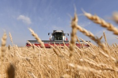 Матвиенко заявила, что РФ будет сотрудничать с ООН для выполнения обязательств зерновой сделки