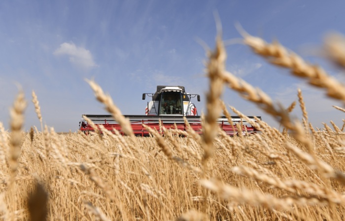 Матвиенко заявила, что РФ будет сотрудничать с ООН для выполнения обязательств зерновой сделки