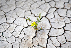 Турции предсказали водный кризис летом после самой засушливой за 22 года зимы