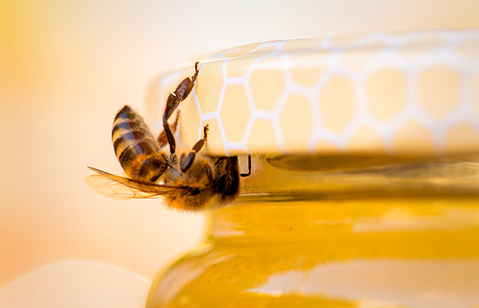 В российское законодательство внесут определение мёда