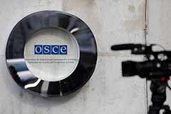 Совет Думы решил приостановить выплату взносов в ПА ОБСЕ