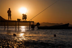 Взносы в бюджет при отчуждении активов иностранных резидентов пойдут на туризм в Крыму