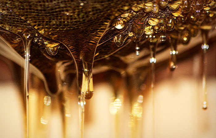 Венгрия временно запрещает импорт меда и ряда мясных продуктов с Украины