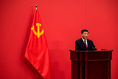 Си Цзиньпин и Зеленский впервые с февраля прошлого года поговорили по телефону
