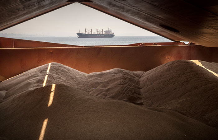 Путин и Эрдоган обсудили по телефону Украину и зерновую сделку