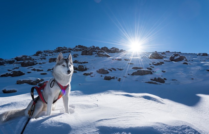 Что произошло в мире науки. Вечерний дайджест