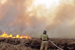 Глава Курганской области пообещал в понедельник начать выплаты пострадавшим при пожарах