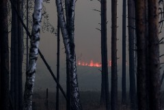 Рослесхоз ожидает ликвидации крупных пожаров в Свердловской области за два-три дня
