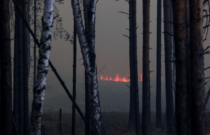 Рослесхоз ожидает ликвидации крупных пожаров в Свердловской области за два-три дня