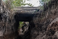 Минобороны заявило, что операция по взятию западной части Артемовска продолжается