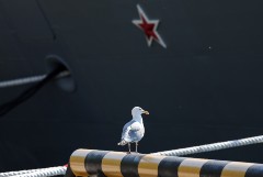 Корвет "Меркурий" вошел в состав ВМФ России