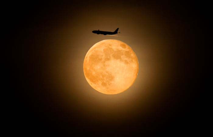 Грузия получила от нескольких авиакомпаний РФ заявки на выполнение полетов в республику