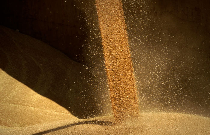 МИД РФ заявил о прекращении "зерновой сделки" после 17 июля в случае невыполнения требований