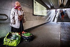 ЦБ счел социальное неравенство в России не значимым для ДКП