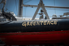 Greenpeace признан нежелательным в РФ