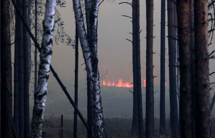 Площадь природных пожаров в Свердловской области сократилась почти в три раза
