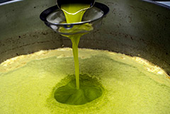 Цены на оливковое масло остаются на рекордных максимумах
