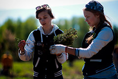 В Думу внесен законопроект, обязывающий школьников трудиться