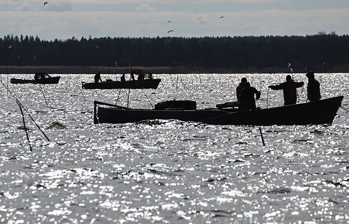 Росрыболовство заявило о потребности рыбного комплекса страны еще в 92 млрд рублей