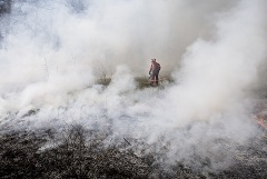 В Канаде локализовали сильный лесной пожар