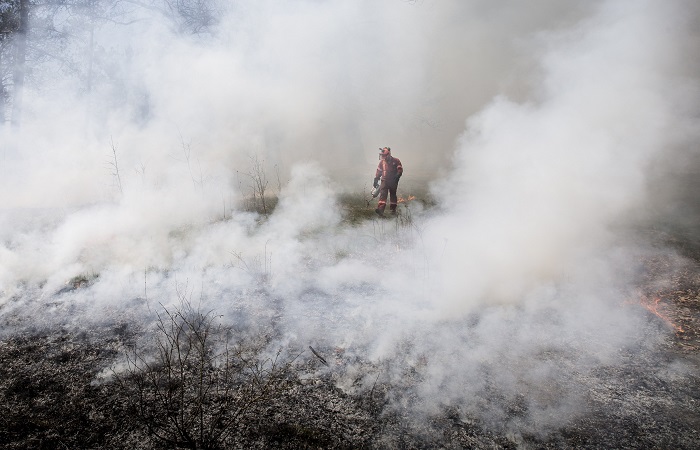 В Канаде локализовали сильный лесной пожар