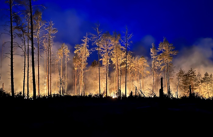 Площадь природных пожаров в Свердловской области сократилась в семь раз