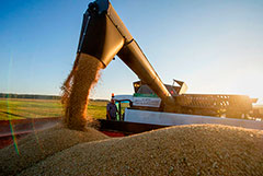 Дмитрий Песков заявил, что Россия может выйти из "зерновой сделки" по окончании нынешних сроков