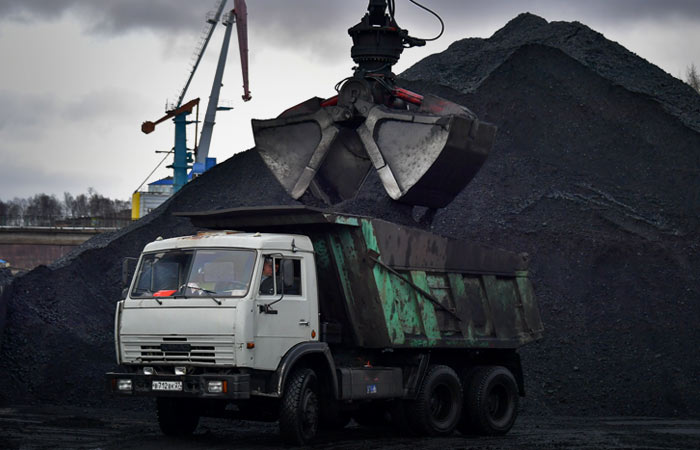 Комитет Госдумы предупредил о рисках остановки работы угольных стивидоров