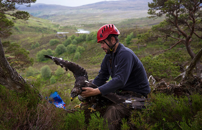 Что произошло в мире науки. Вечерний дайджест