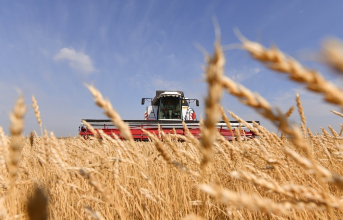На саммите ЕС призвали активизировать работу черноморской зерновой инициативы