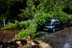 Ураган обрушился на Нидерланды